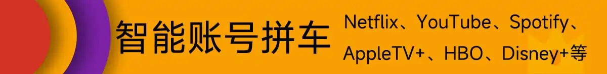 Netflix合租