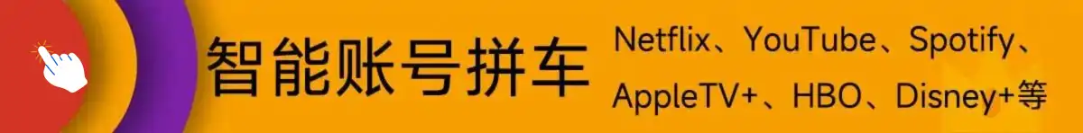 Netflix合租